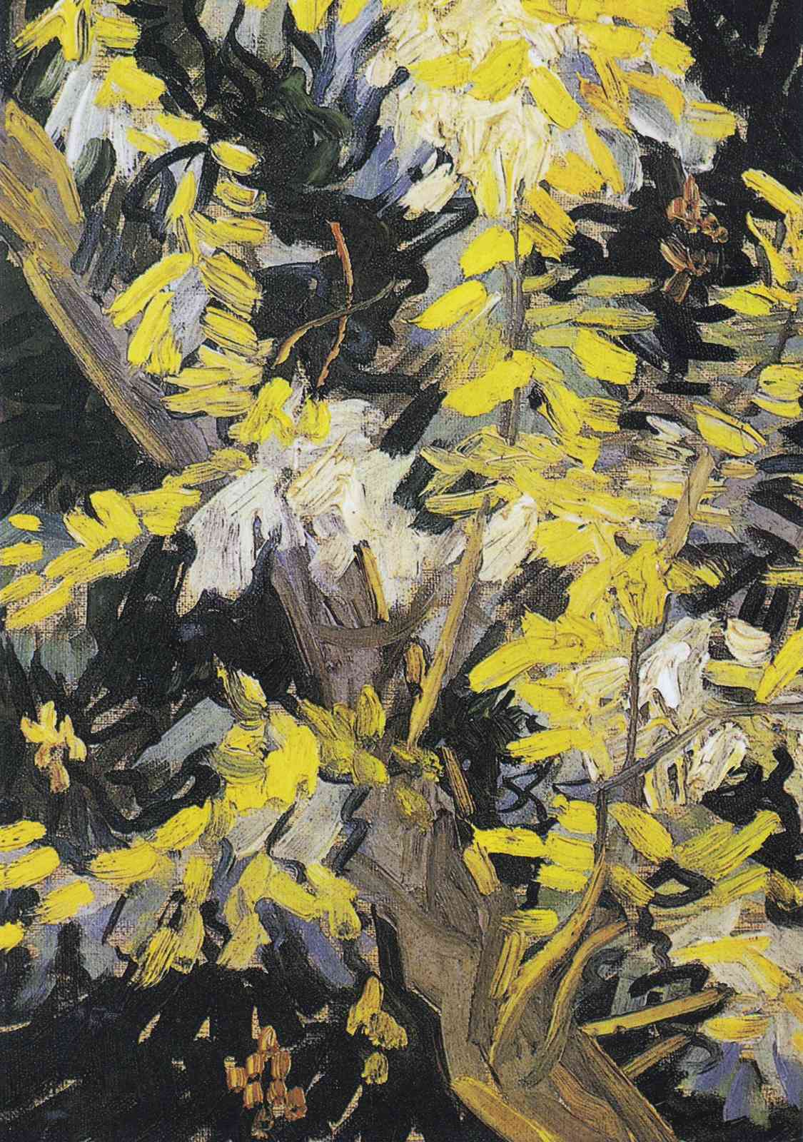 Vibrant Yellow Blossom Branches Wall Art