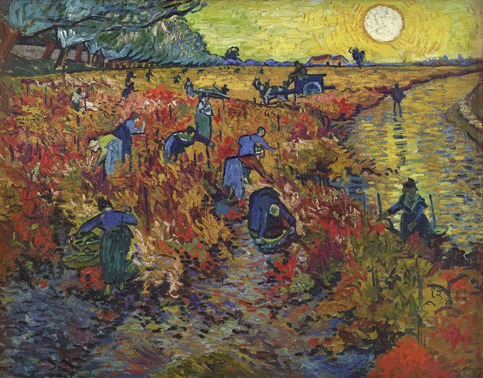 Van Gogh Vineyard Harvest Impressionist Wall Art