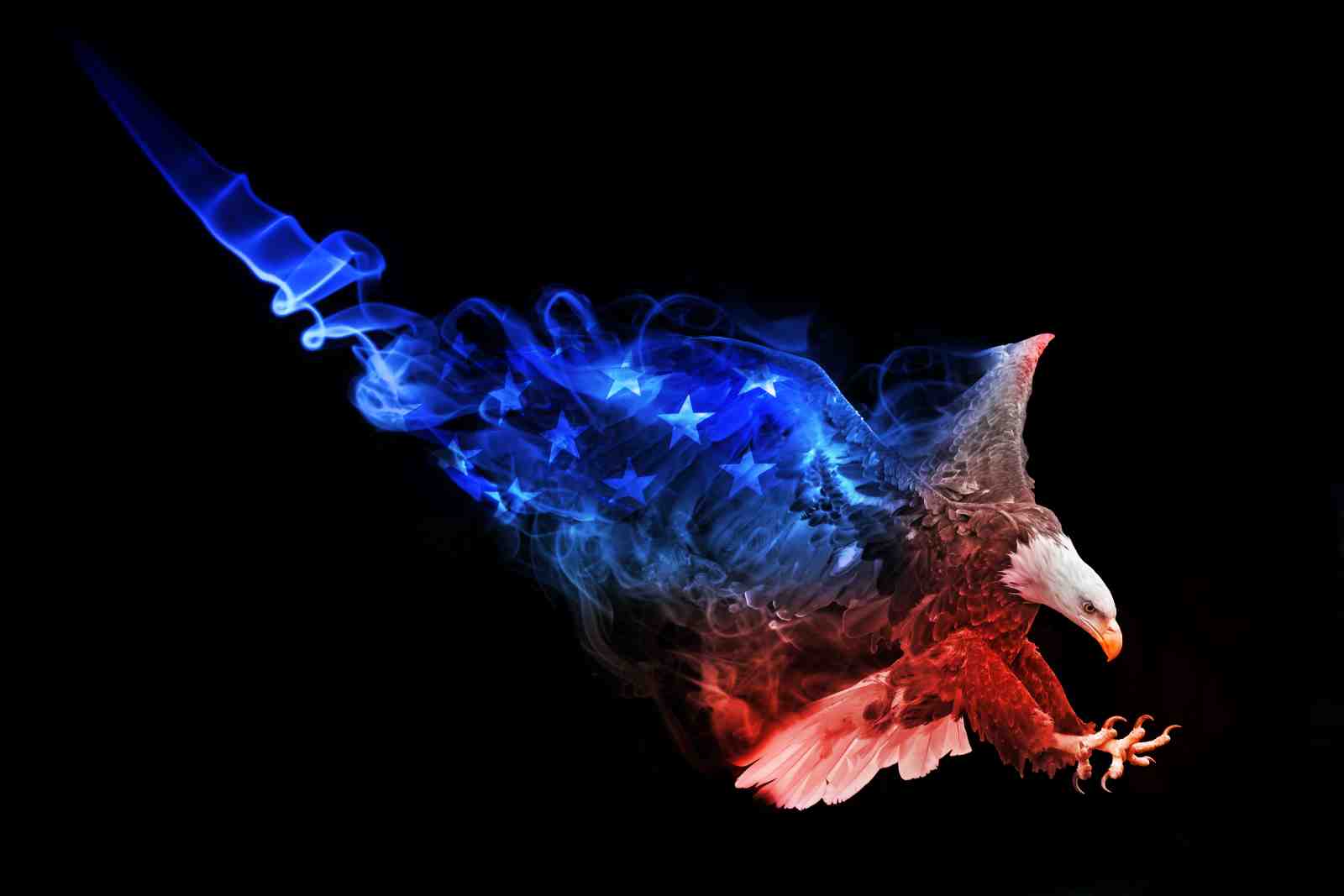 Majestic Eagle American Flag Smoke Wall Art