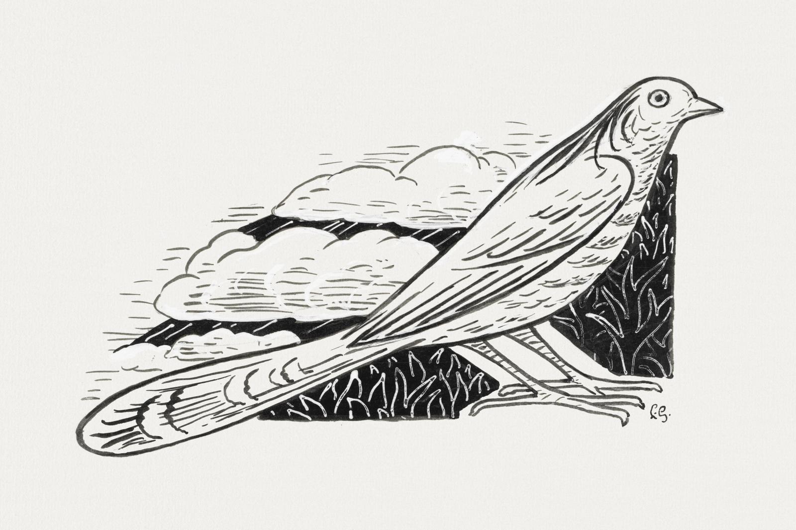 Elegant Bird Amidst Clouds Wall Art | Nature Art