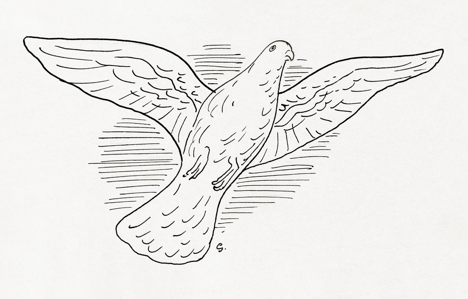 Elegant Dove in Flight Line Art Wall Art