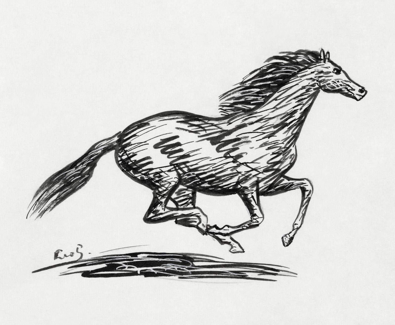 Dynamic Horse Sketch Wall Art