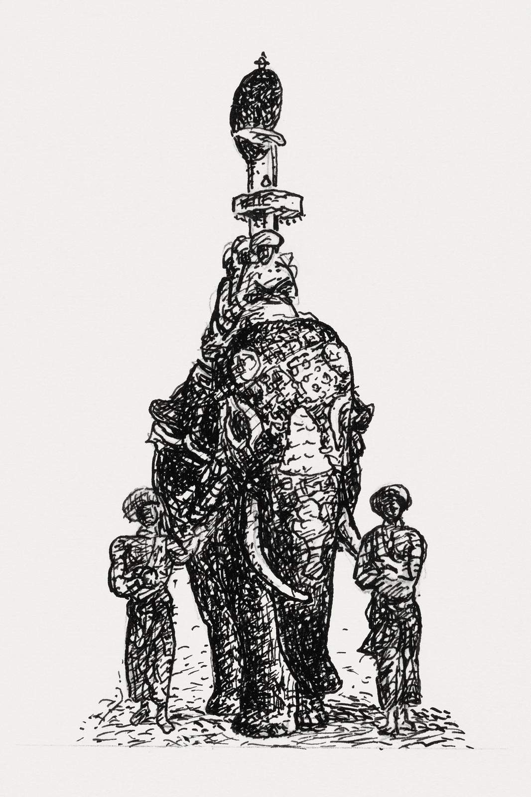 Majestic Elephant Procession Sketch Wall Art