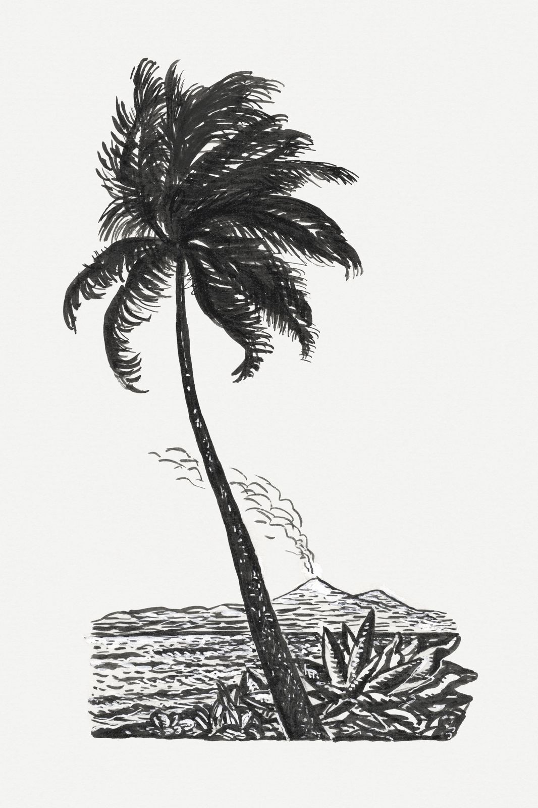Tropical Palm Volcano Landscape Wall Art