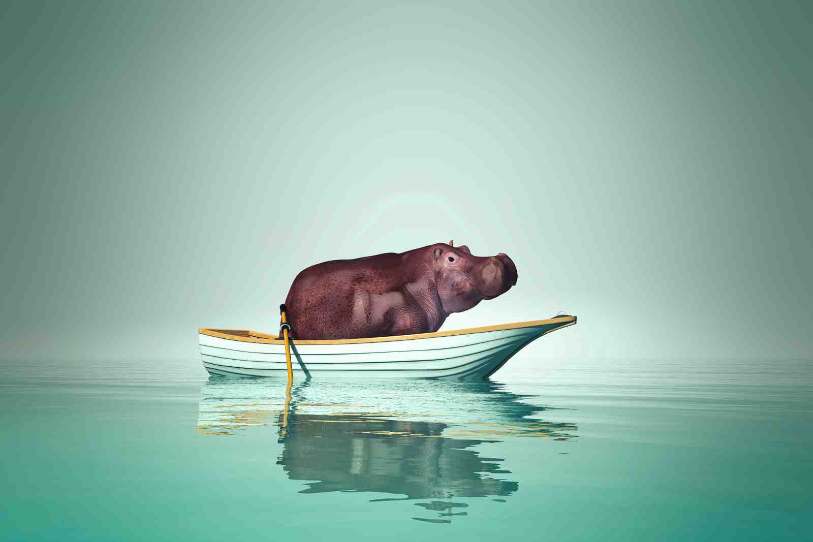 Whimsical Hippo Rowing Boat Wall Art