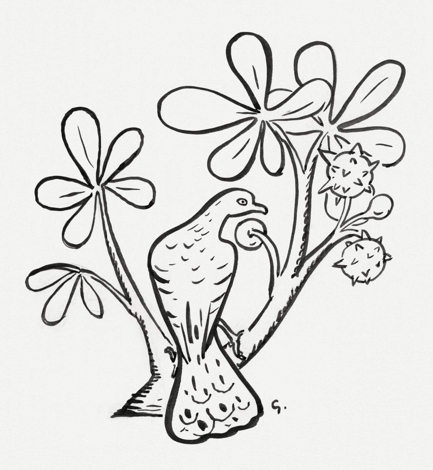 Elegant Bird & Flora Line Art Wall Art