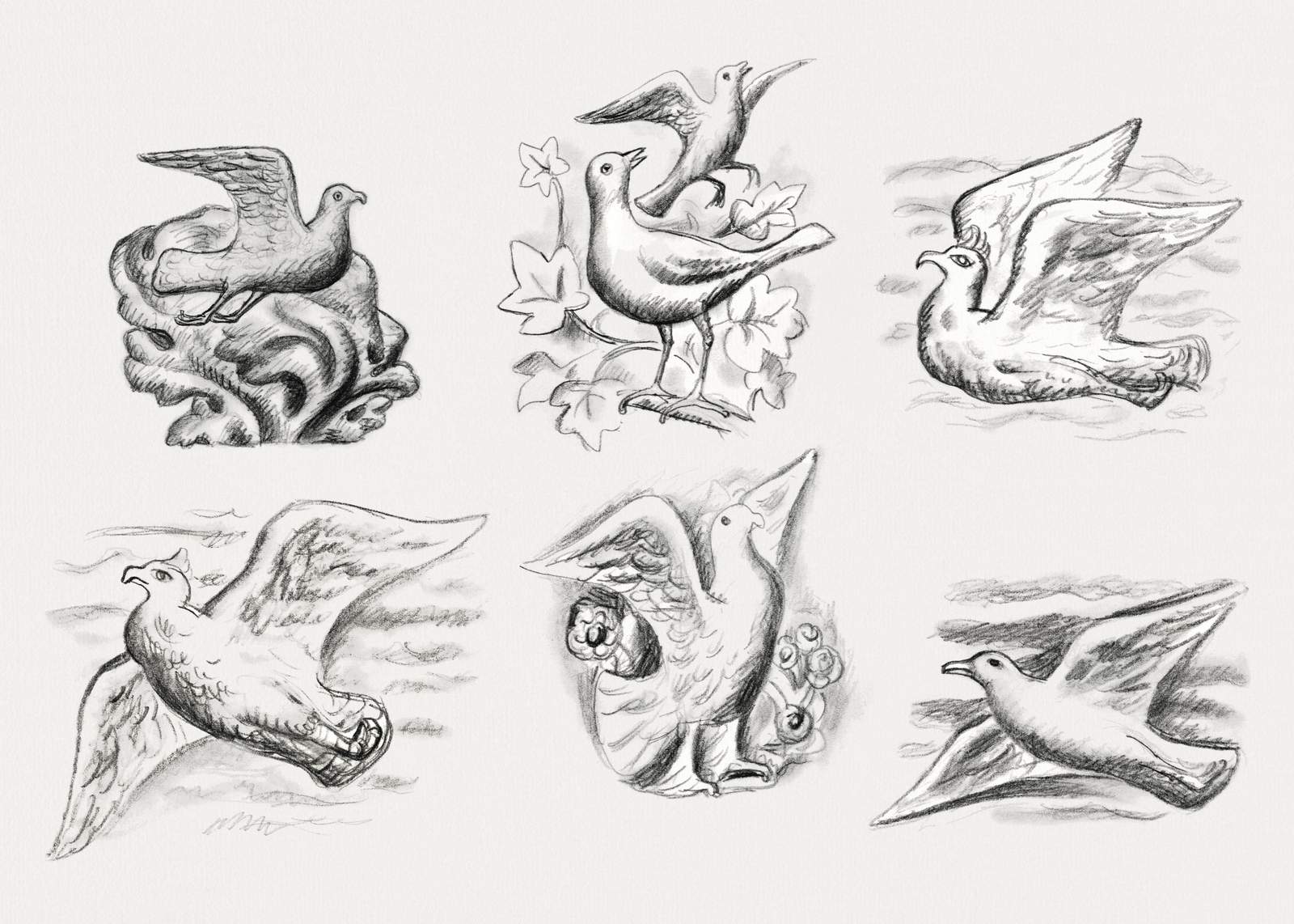 Elegant Bird Sketches Fine Art Wall Art
