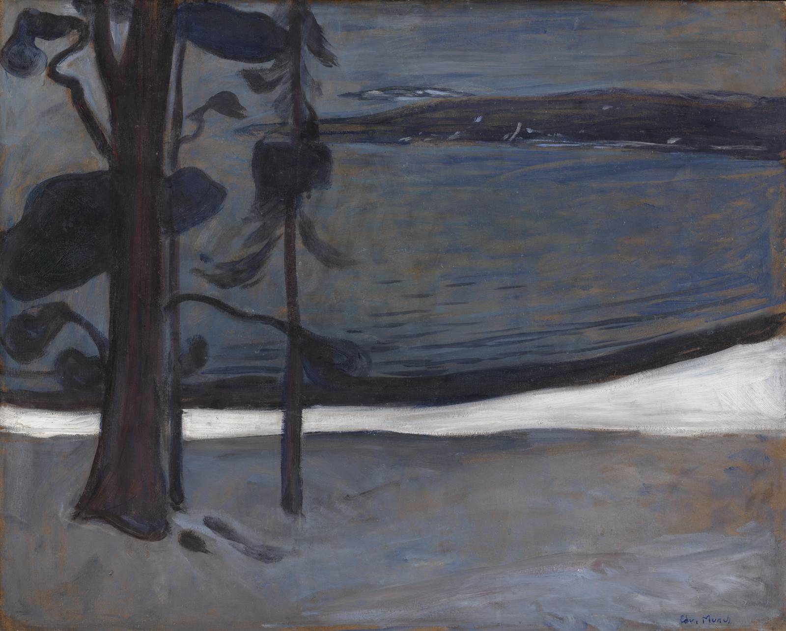 Midnight Forest & Lake Wall Art | Nature Landscape