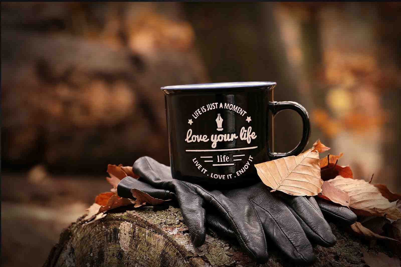 Love Your Life Enamel Mug Wall Art