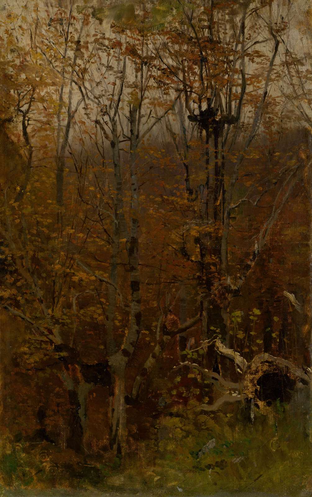 Autumn Forest Serenity Wall Art