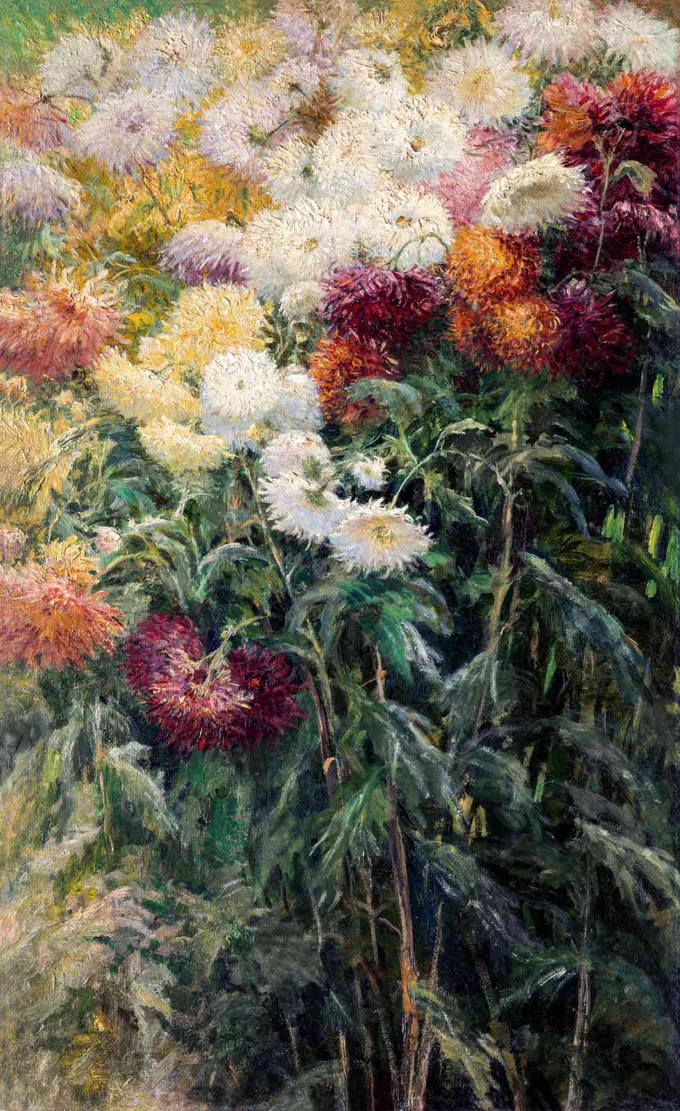 Vibrant Chrysanthemum Garden Wall Art