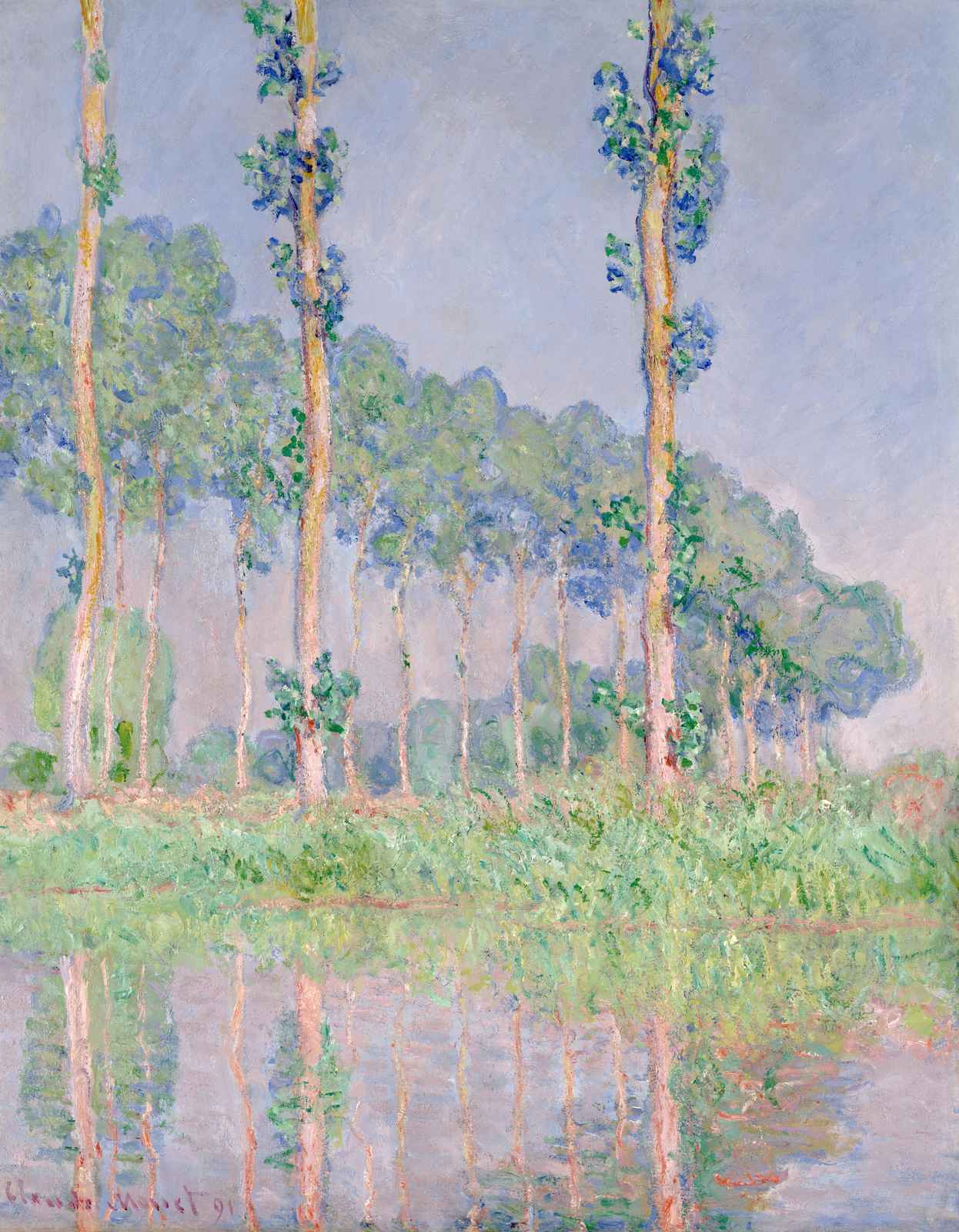 Serene Poplars Reflection Wall Art