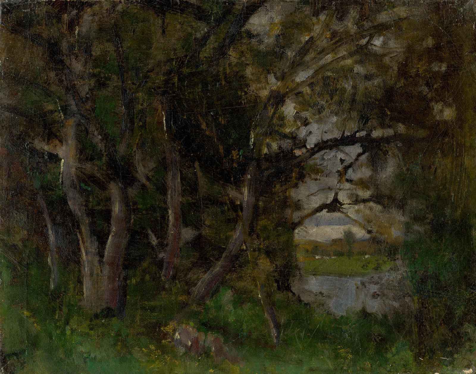 Enchanting Forest Glade Landscape Wall Art