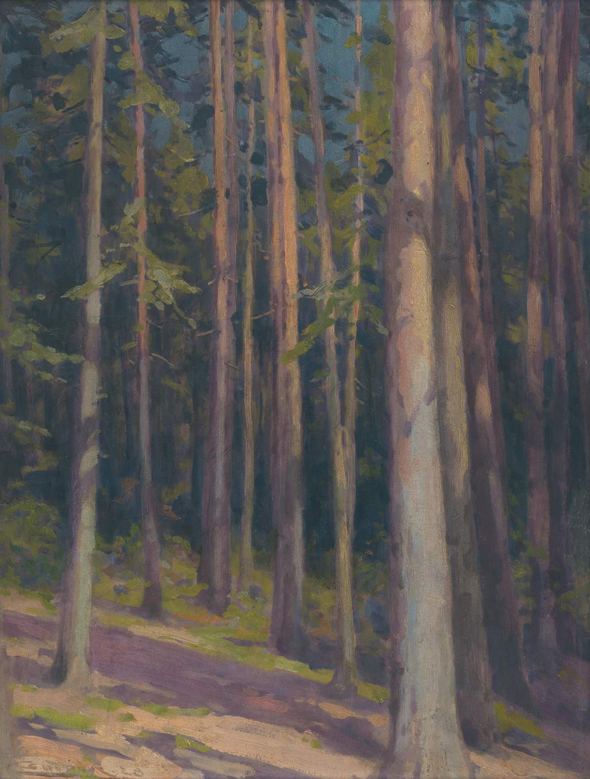 Serene Forest Sunlight Landscape Wall Art