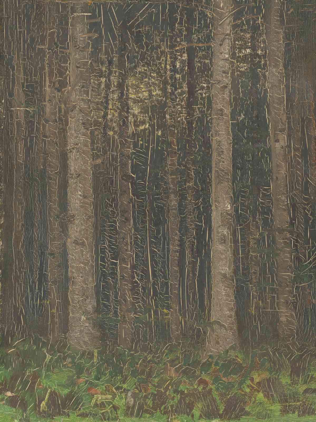 Mystic Forest Trees Textured Wall Art