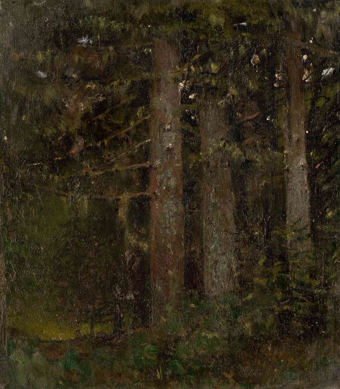 Enchanting Forest Serenity Oil Painting Wall Art