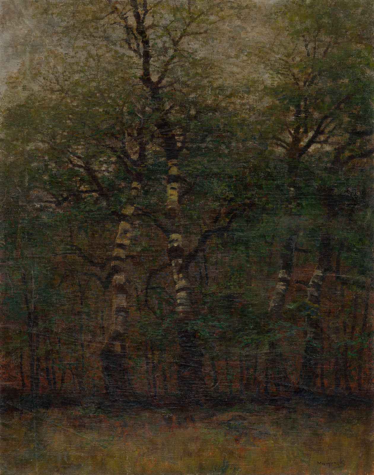 Enchanting Forest Birch Trees Wall Art