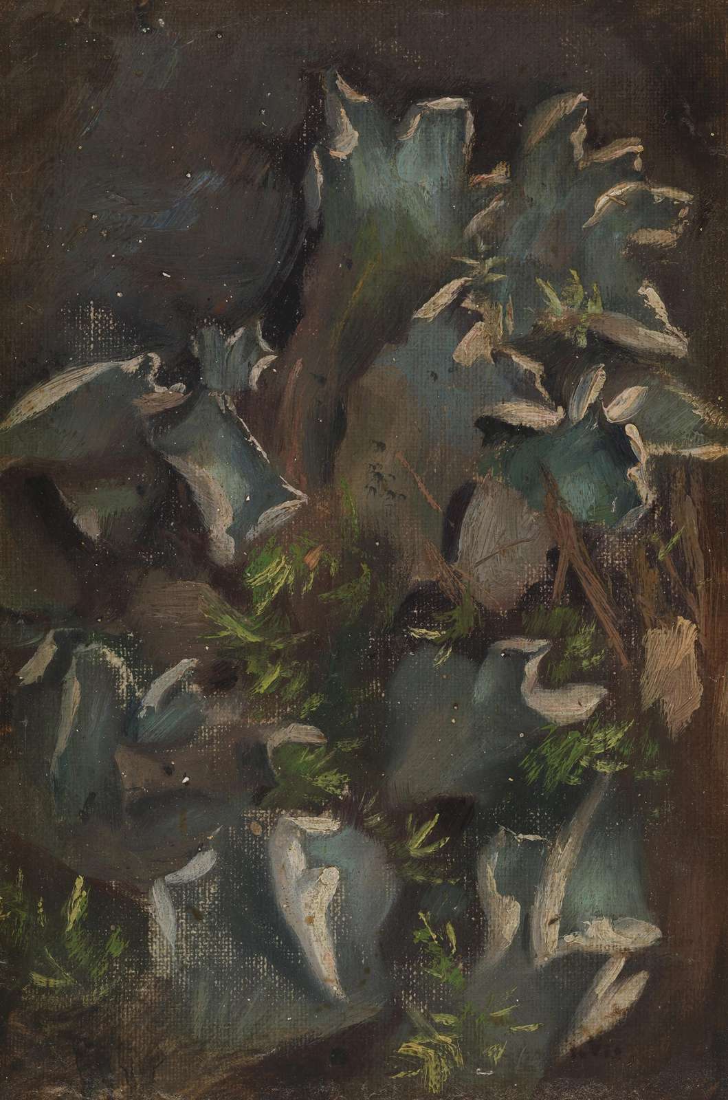 Mysterious Forest Fungus Art Wall Art