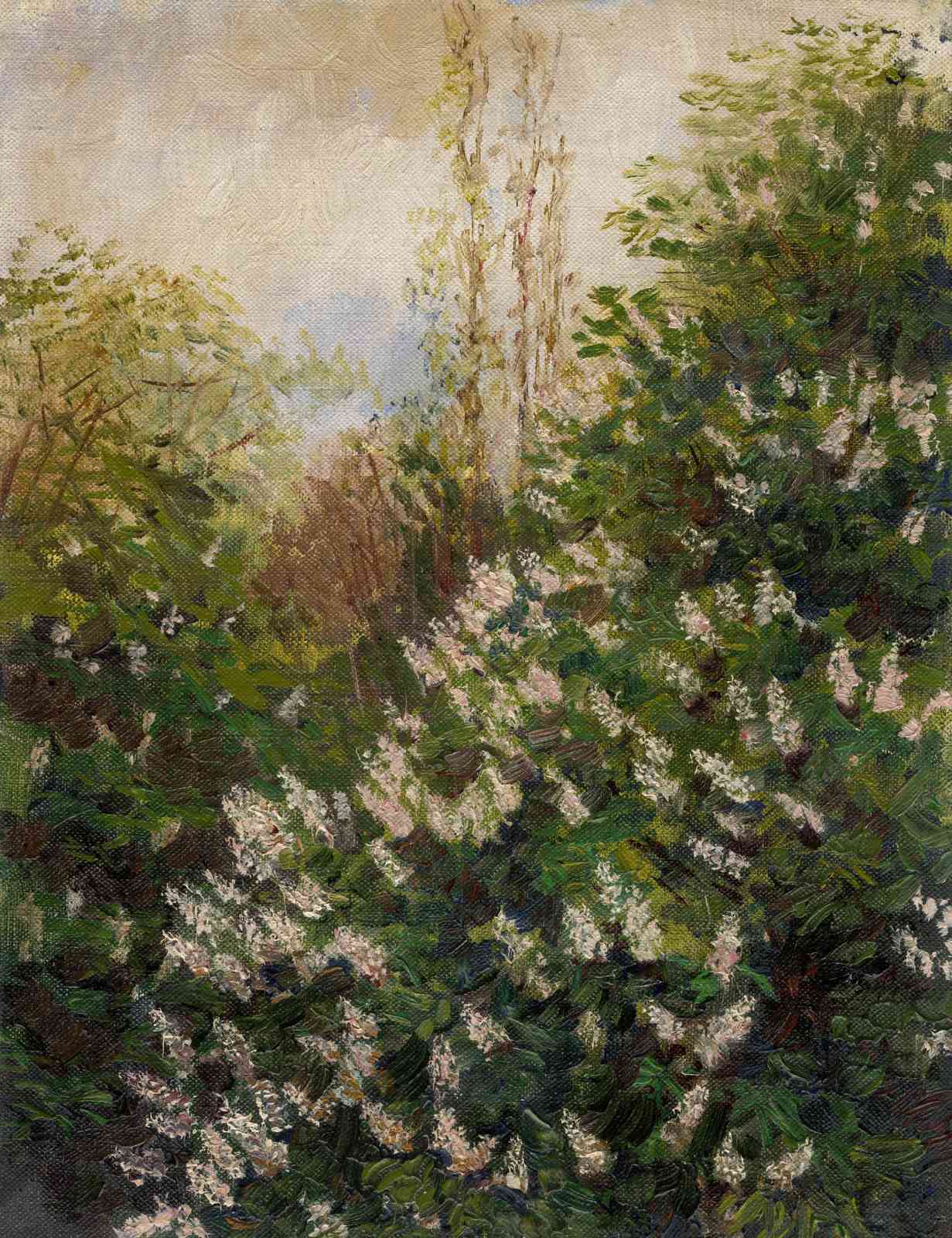 Nature's Bloom Chestnut Blossom Wall Art
