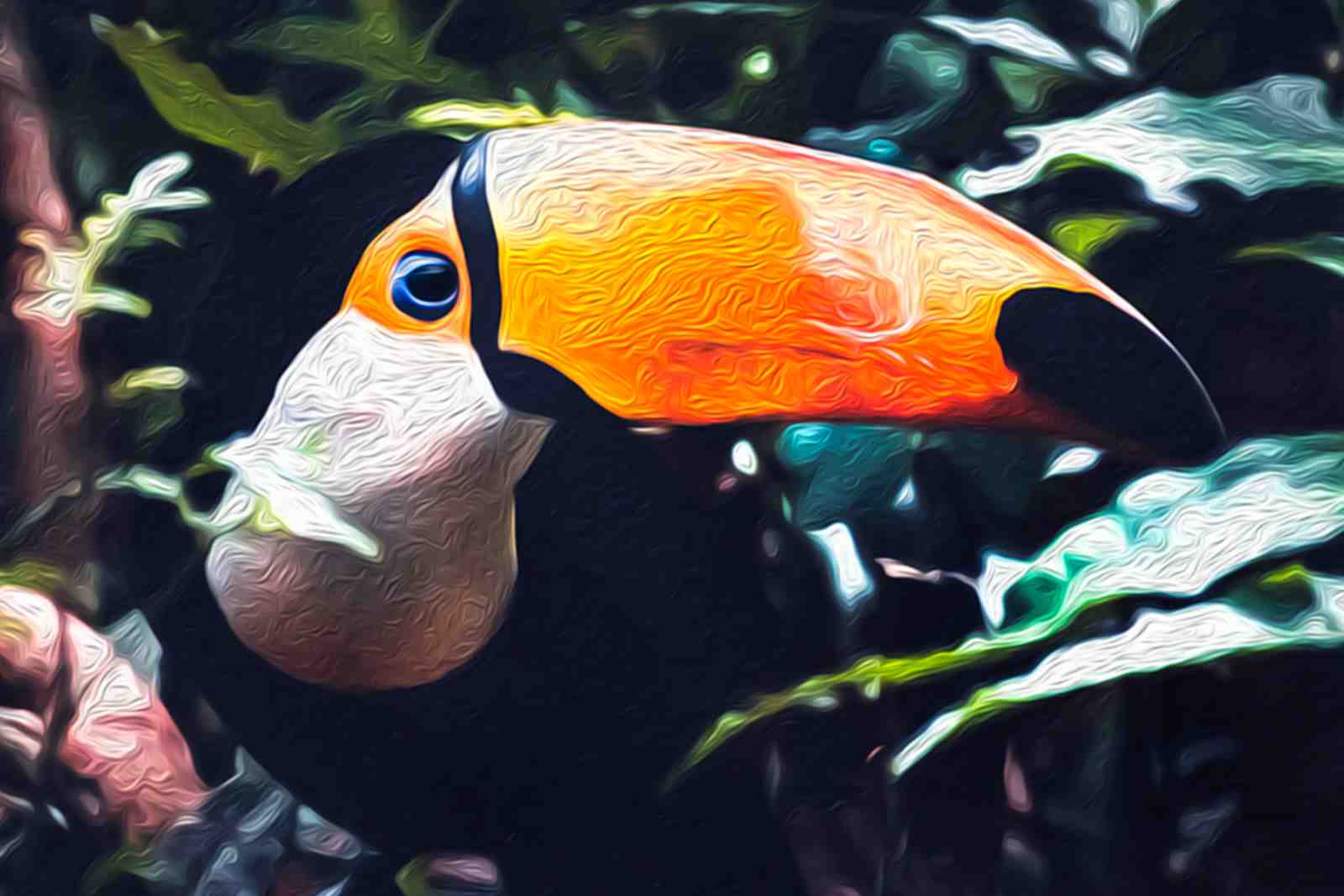 Vibrant Toucan Jungle Scene Wall Art