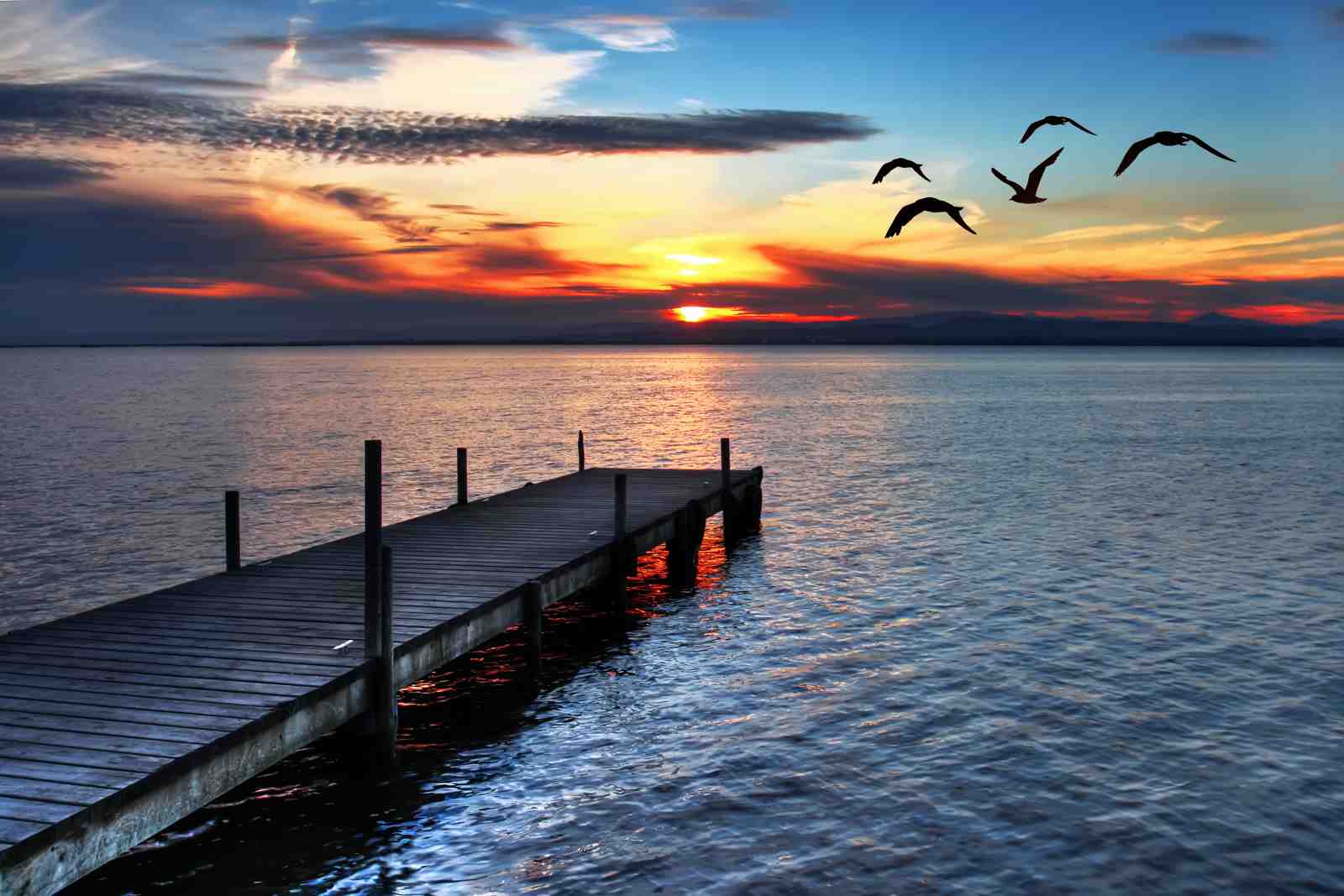 Tranquil Sunset Pier & Birds Wall Art