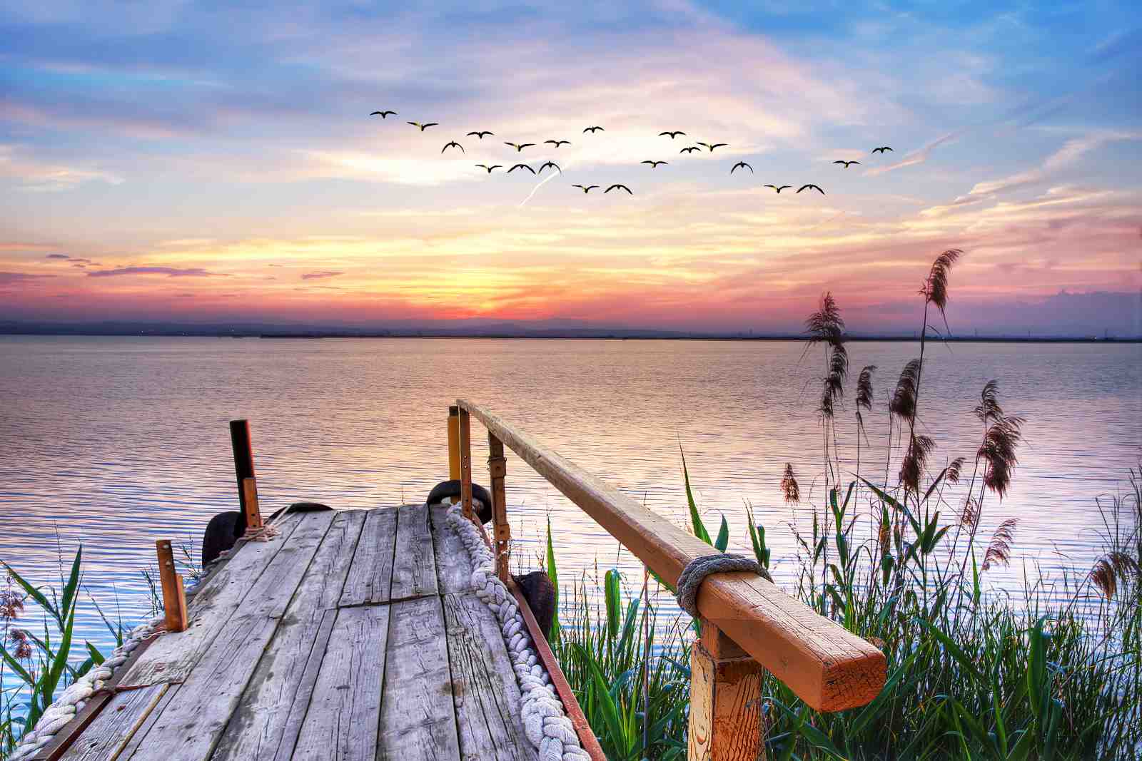 Serene Sunset Dock & Bird Flock Wall Art