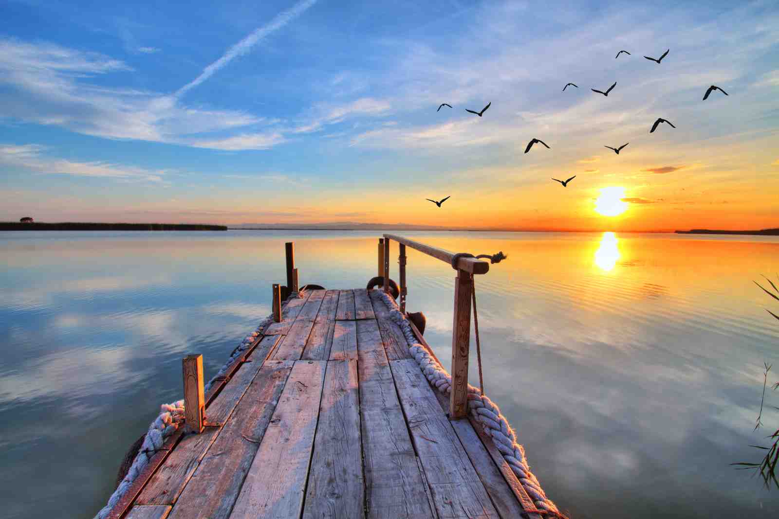 Tranquil Sunset Pier & Birds Wall Art