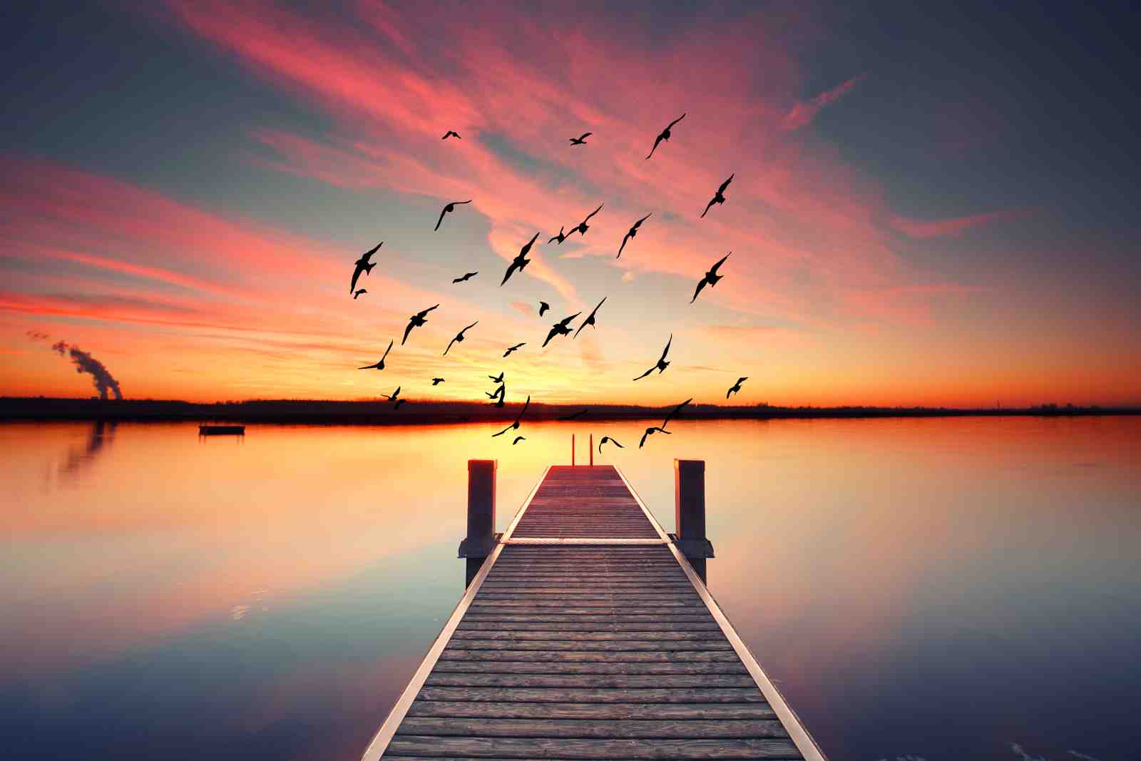 Serene Sunset Dock Birds Wall Art