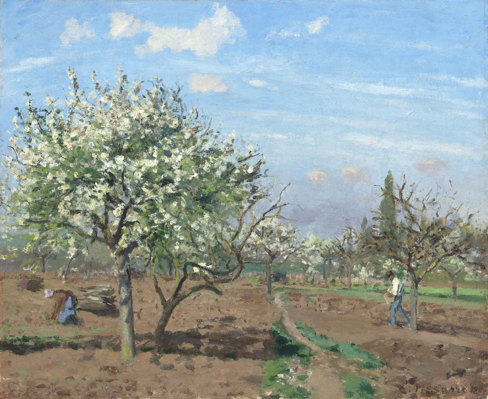 Spring Blossom Orchard Impressionist Wall Art