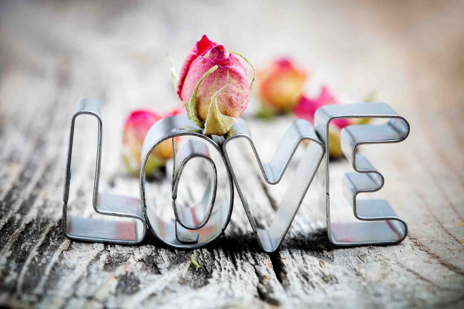 Romantic "LOVE" & Roses Wall Art