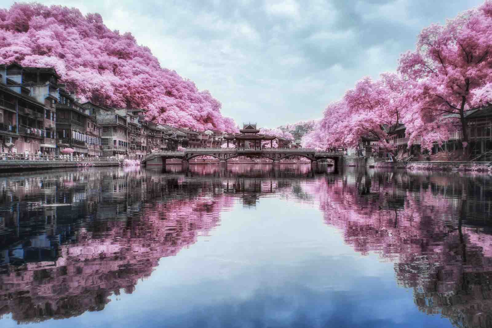Dreamy Pink Trees & Bridge Wall Art