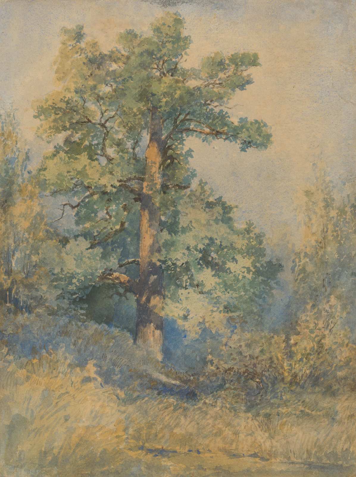 Serene Oak Tree Nature Watercolor Wall Art