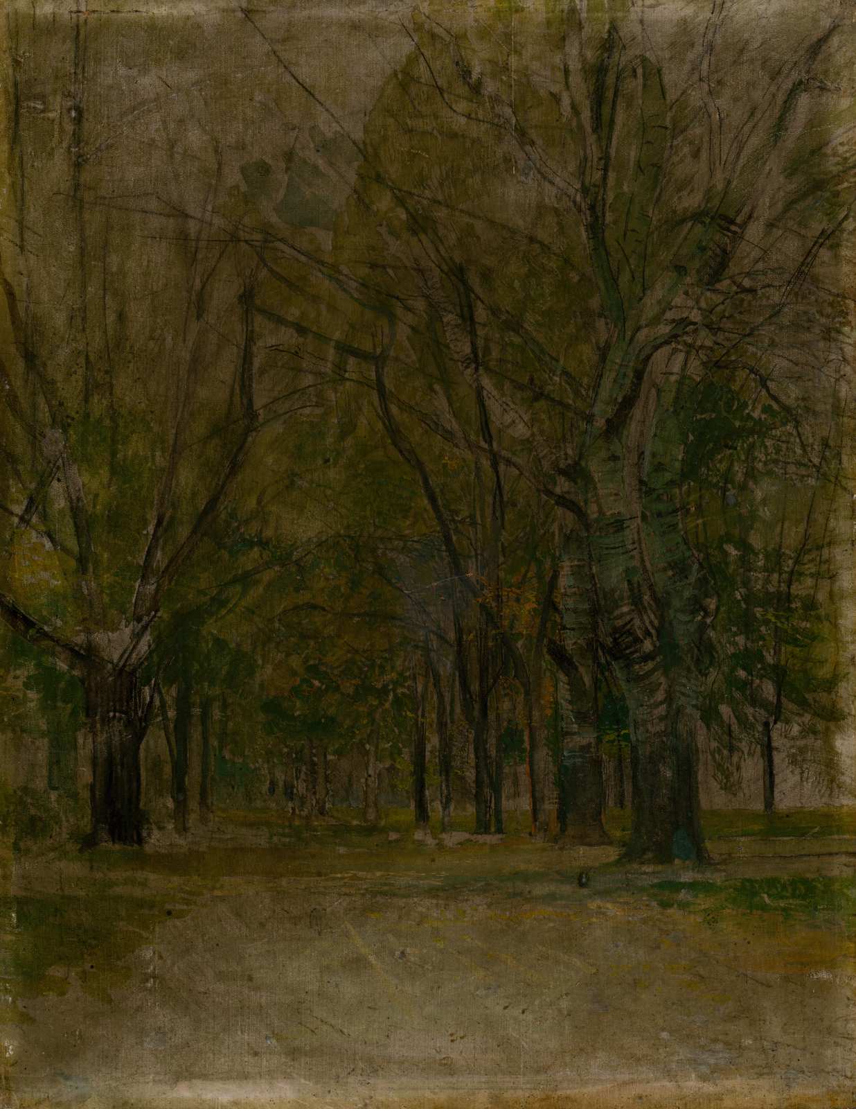 Moody Forest Path Wall Art