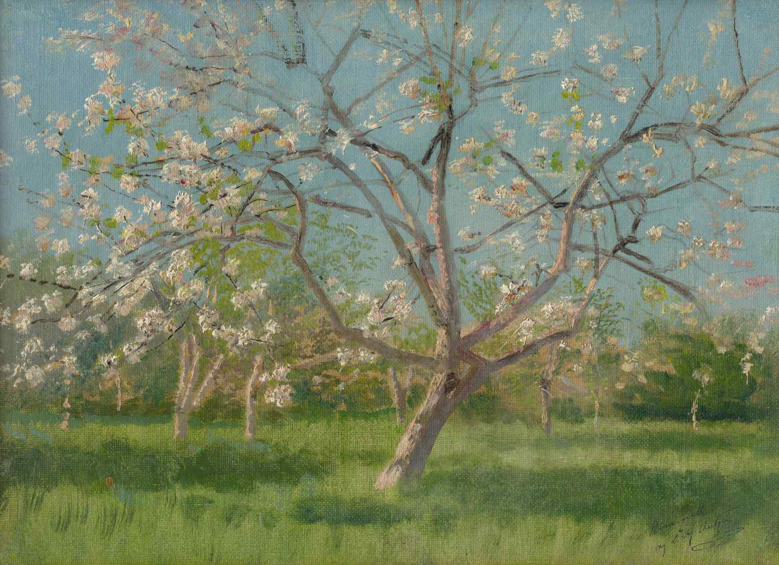 Blooming Orchard Spring Tree Wall Art