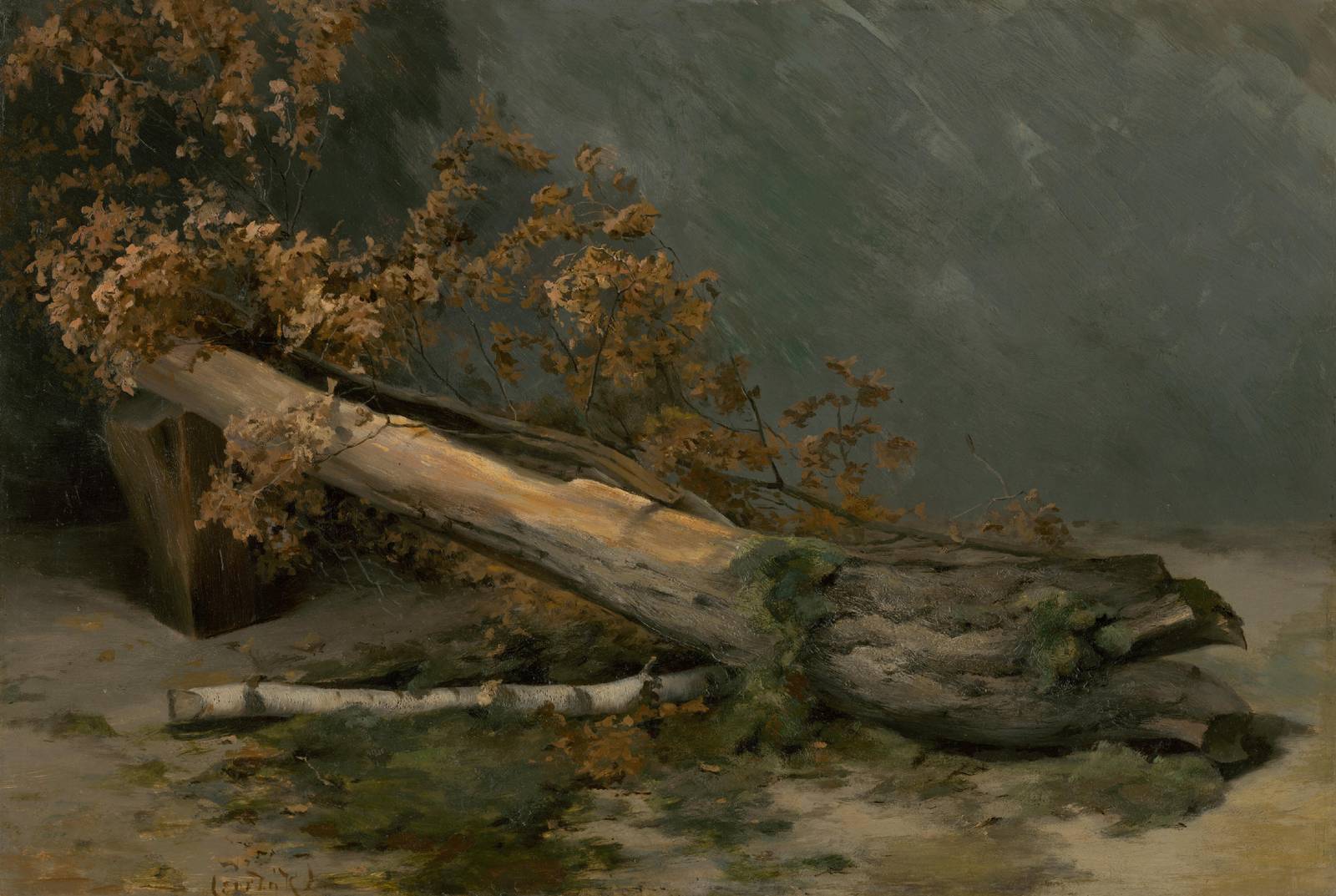 Fallen Oak Landscape Wall Art