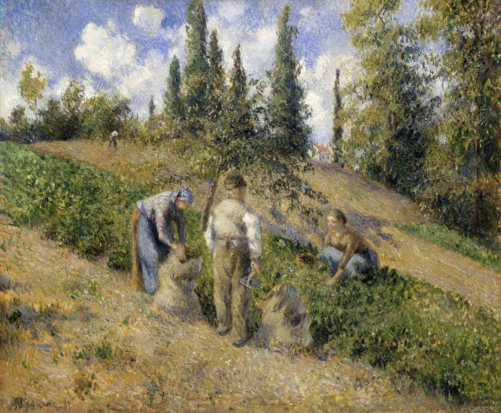 Impressionist Harvest Landscape Wall Art