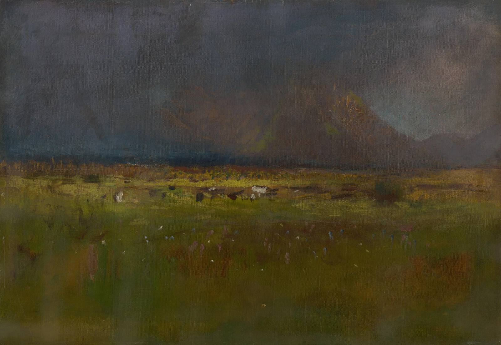 Moody Landscape Field & Mountains Wall Art