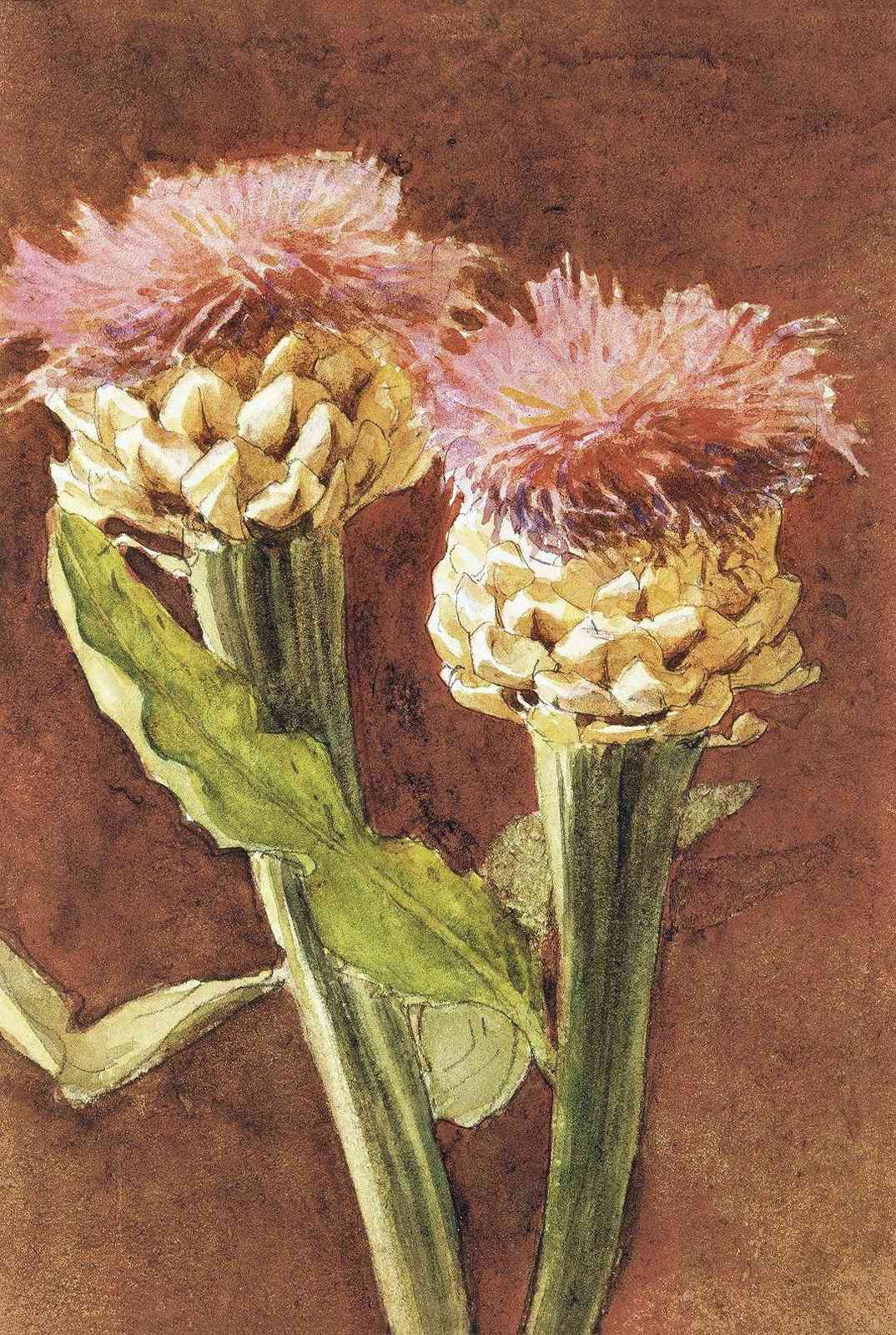 Vintage Floral Art Wall Art