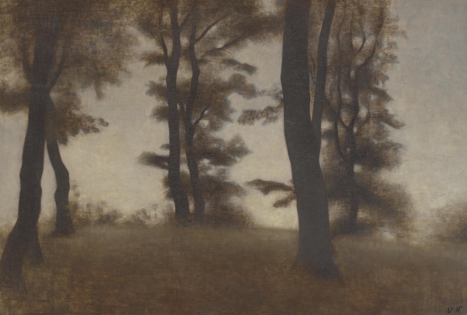 Serene Forest Landscape Wall Art