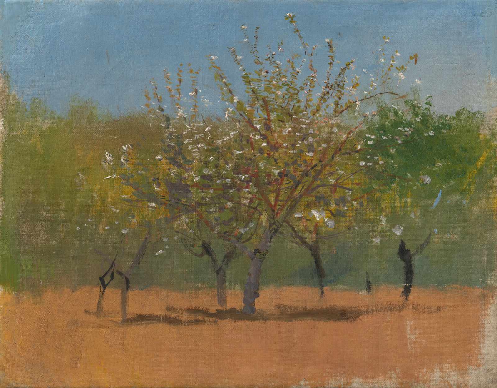 Spring Blossom Trees Wall Art - Fine Art Nature Decor