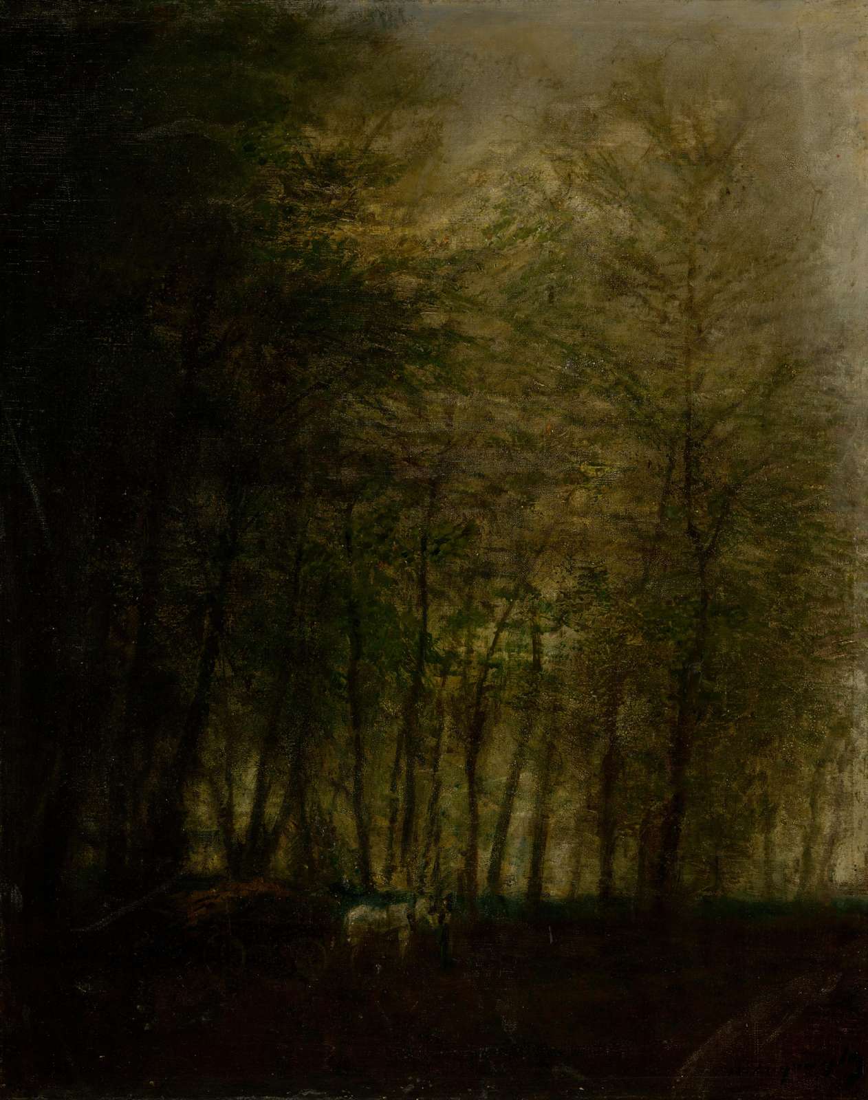 Mysterious Forest Landscape Wall Art