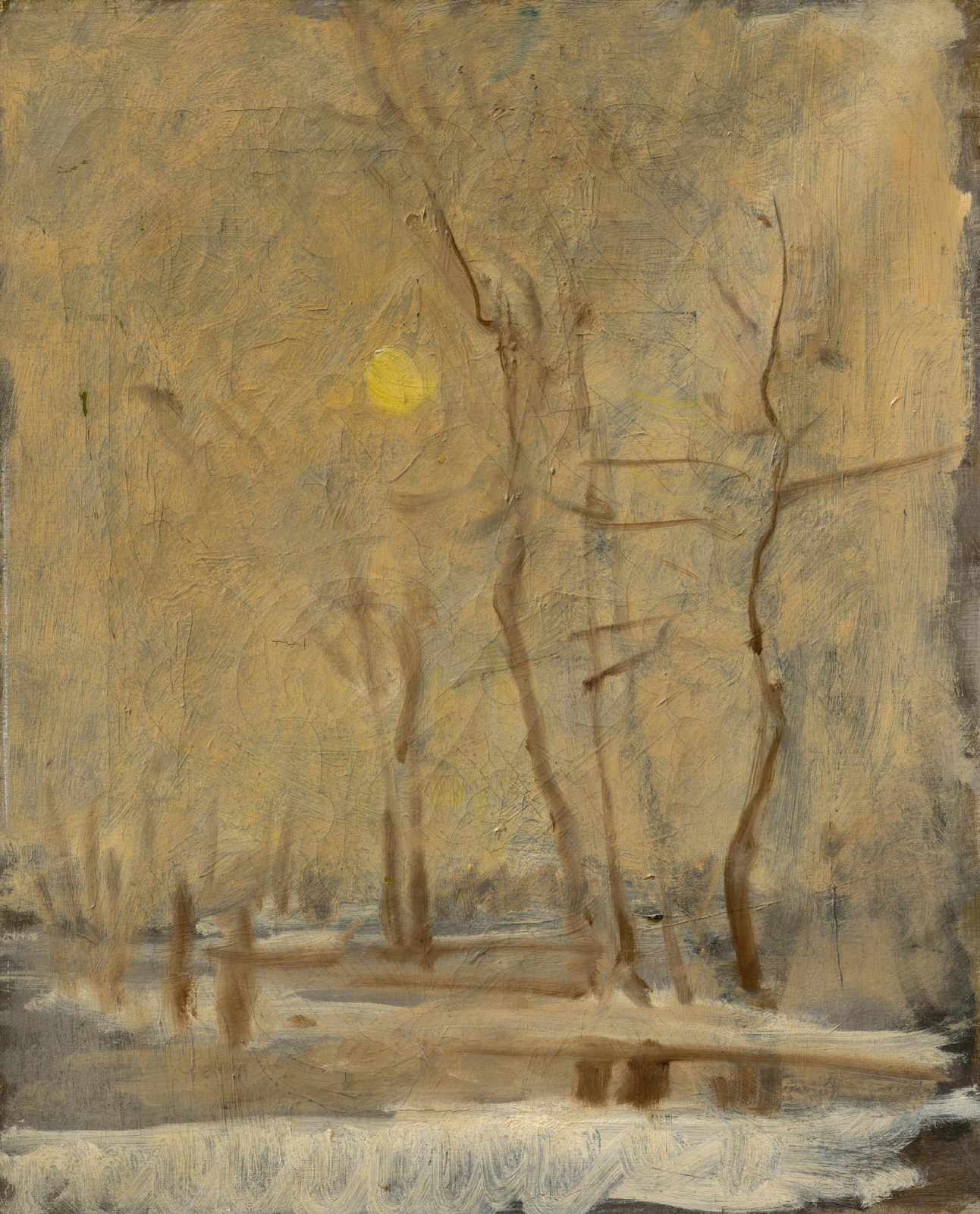 Misty Winter Trees Golden Light Wall Art