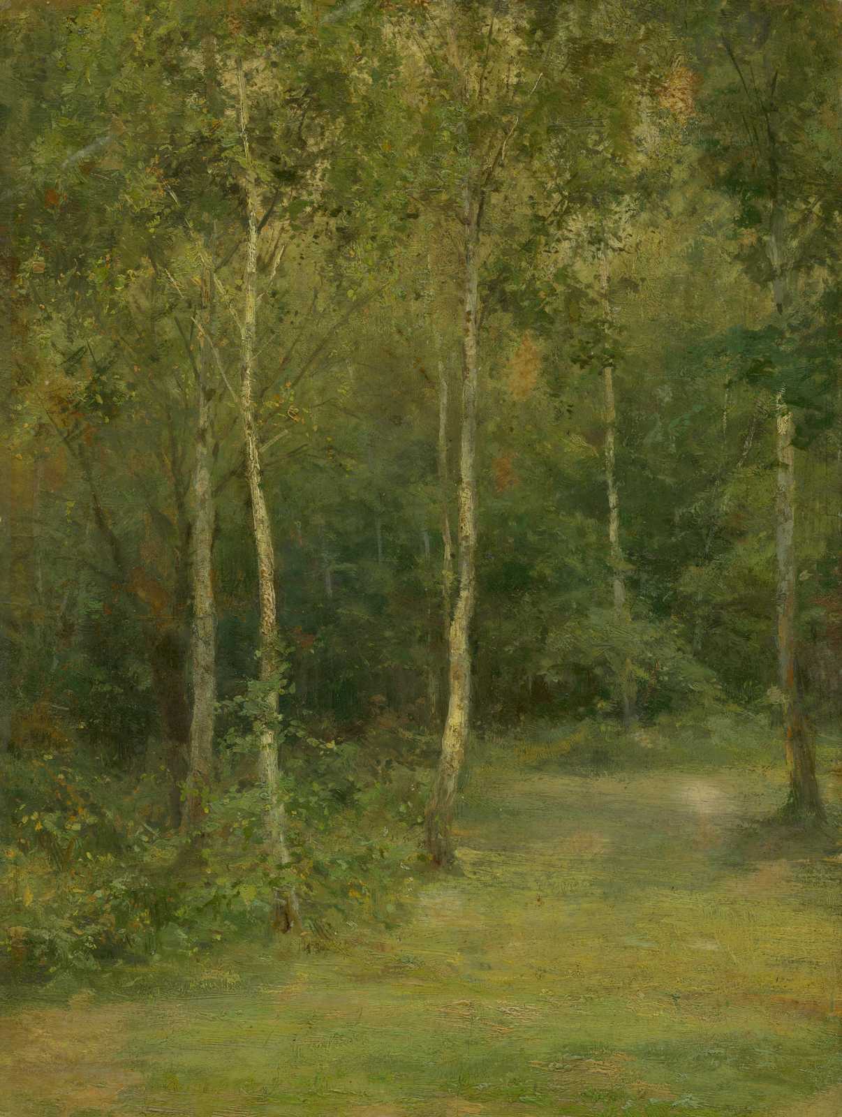 Serene Forest Path Landscape Wall Art