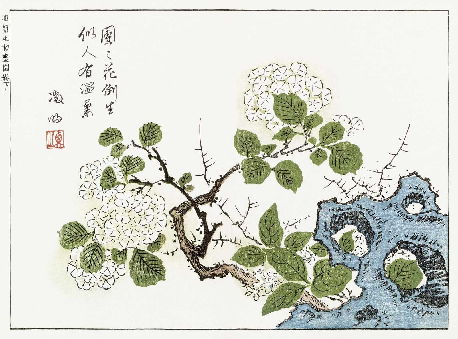 Japanese Hydrangea & Rock Wall Art
