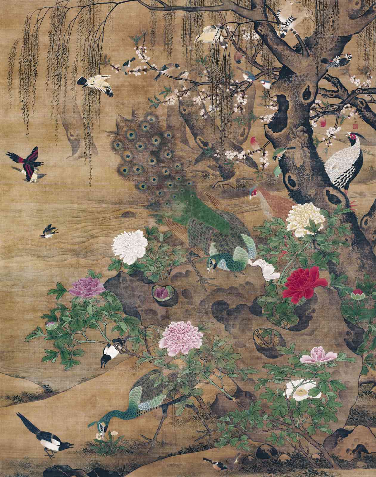Majestic Peacock & Birds Traditional Art Wall Art