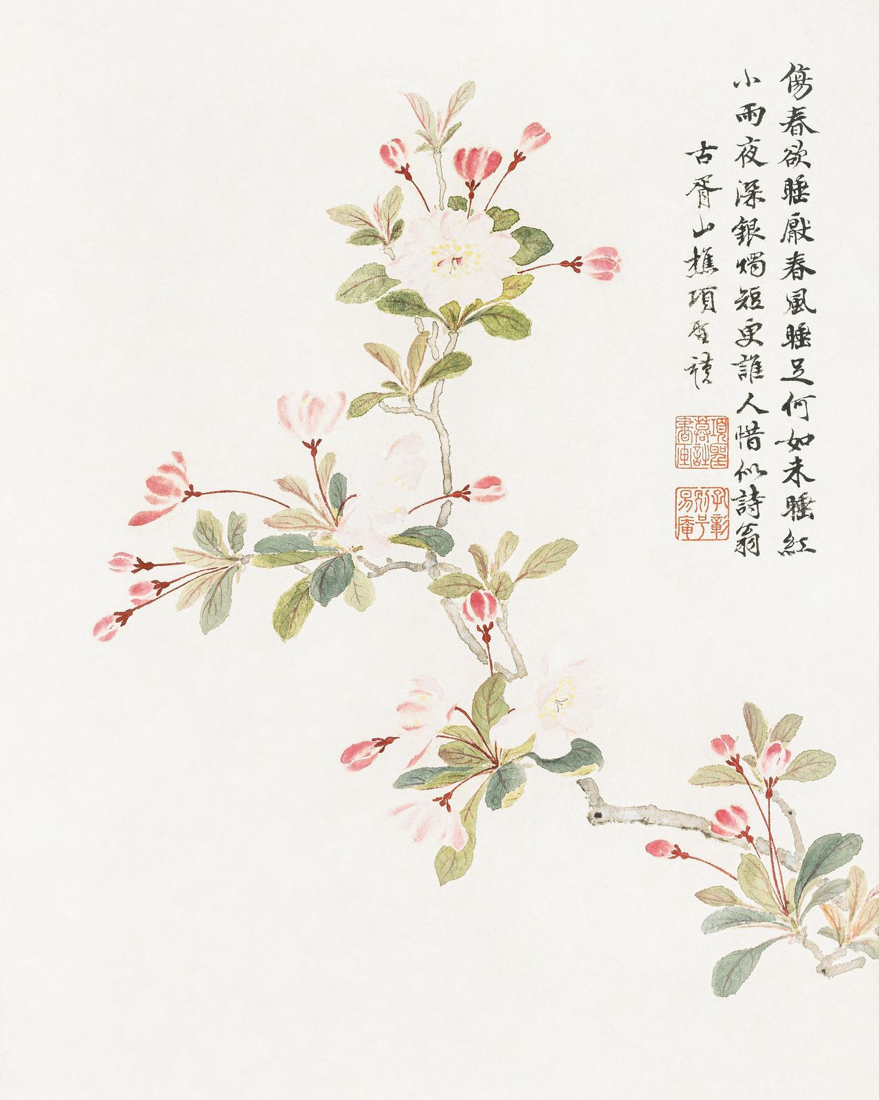 Elegant Blossom Branch Traditional Chinese Art Wall Art