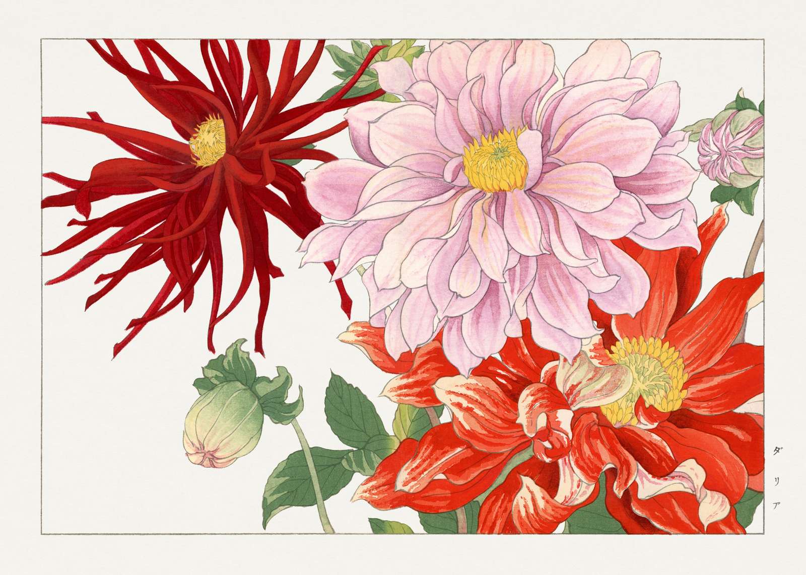 Vibrant Floral Dahlia Bouquet Wall Art