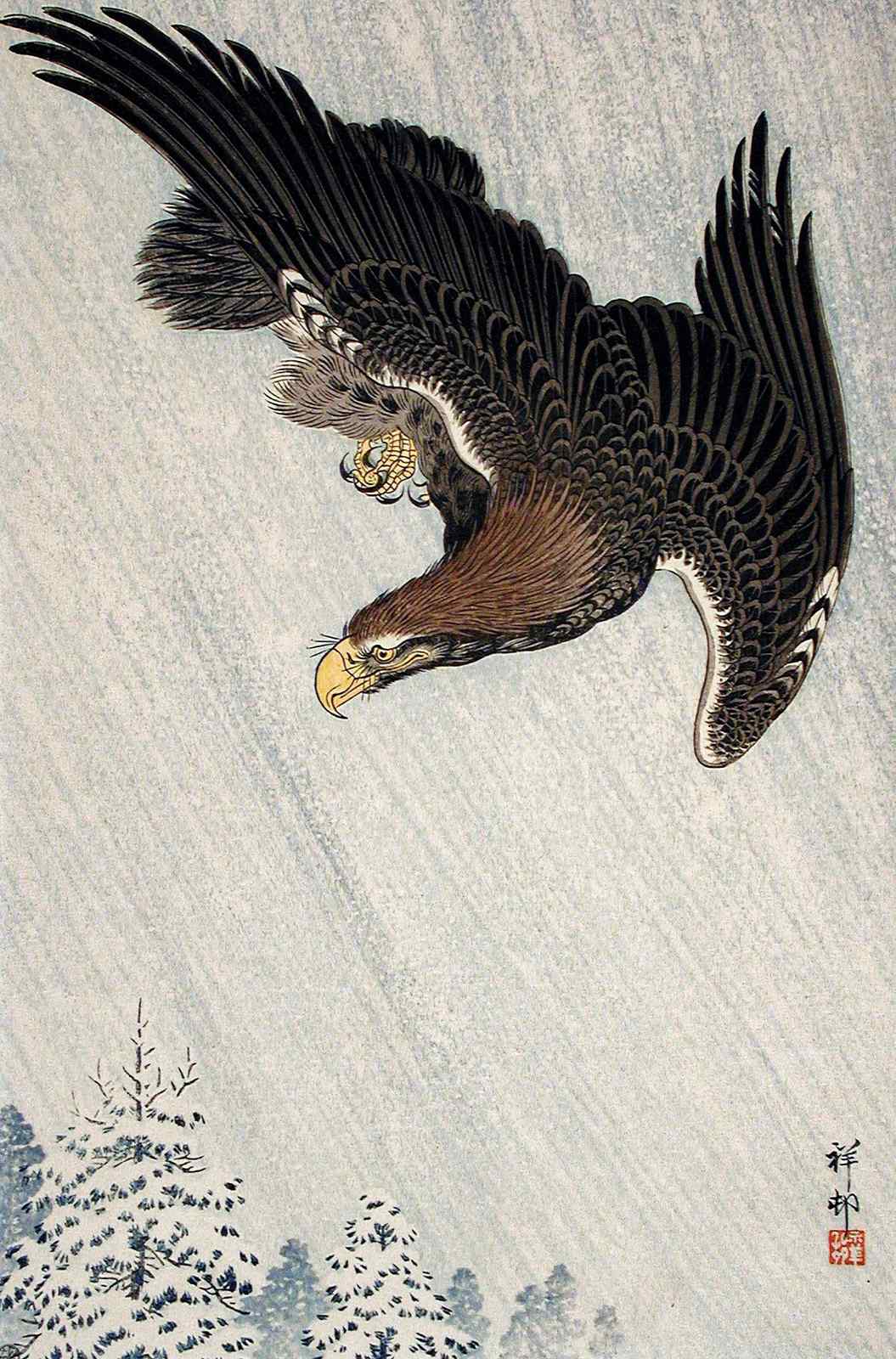 Majestic Eagle Descending Wall Art - Wildlife Art