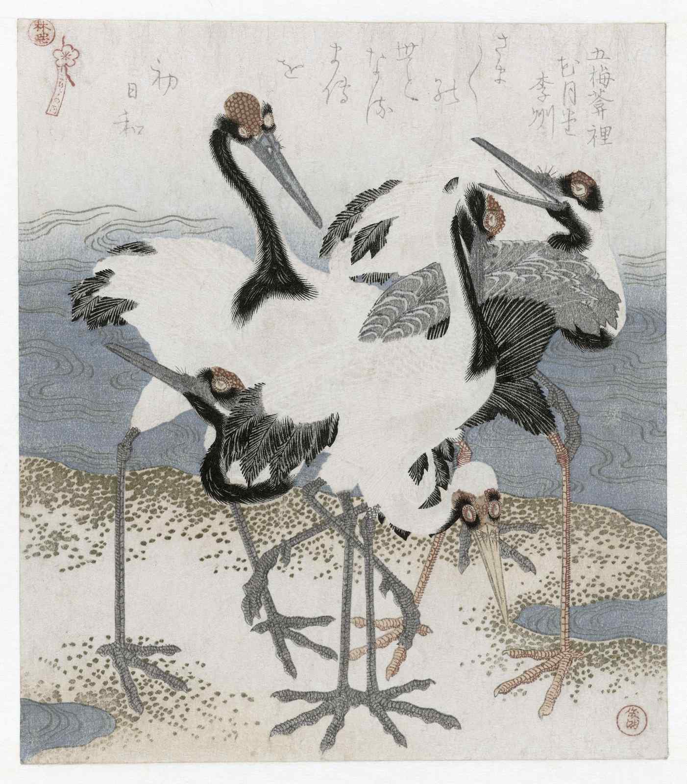 Elegant Crane Gathering Wall Art - Japanese Art