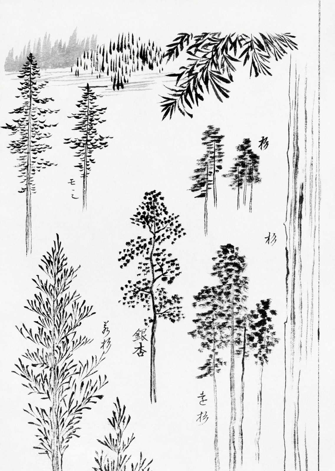 Serene Forest Trees Ink Wash Wall Art